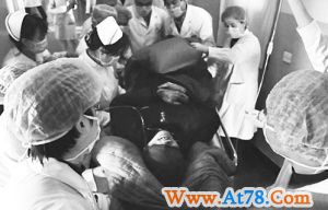 吃松树皮喝凉水挺过9天(图)