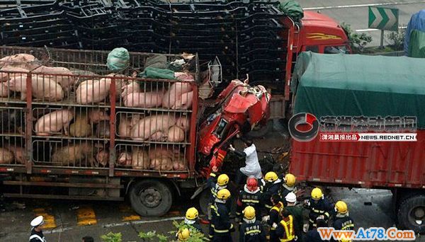 京珠高速郴州段凌晨12车连环相撞 运猪车两人死亡(组图)