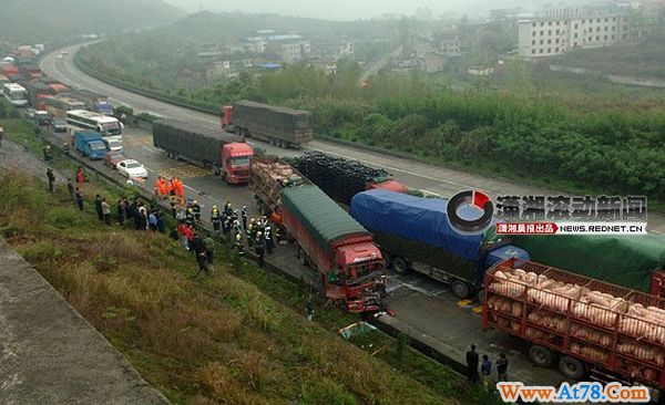 京珠高速郴州段凌晨12车连环相撞 运猪车两人死亡(组图)