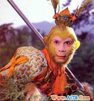 “师兄师姐”用英语怎么说