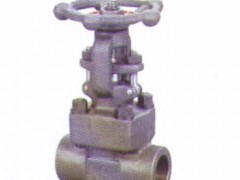 美国VTON威盾进口锻钢闸阀