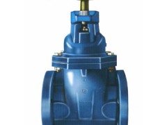 美国VTON威盾进口弹性座封闸阀（软密封闸阀）