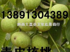 陕西优质青皮核桃基地产地价格行情