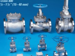 美国VTON威盾进口蒸汽阀门