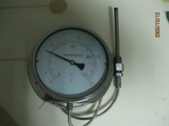 供应带软管全不锈钢温度表