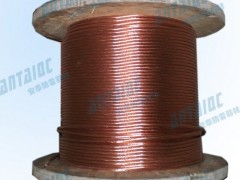 铜包钢接地绞线,接地绞线 铜包钢接地绞线,接地绞线