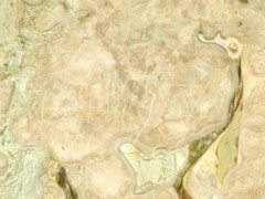 凯悦红,山水纹大理石,意大利灰,印度绿,大花绿 凯悦红,山水纹大理石,意大利灰,印度绿,大花绿