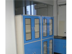 广东实验室家具-PP药品柜