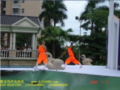 提供广州灯光音响出租服务