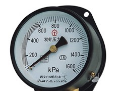 双针双管压力表 YZS-102双针双管压力表