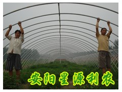 供应新型无支柱大棚支架、温室大棚、大棚骨架设备 供应新型无支柱大棚支架、温室大棚、大棚骨架设备