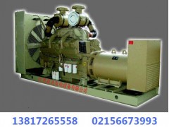 上海康明斯柴油发电机组 上海康明斯柴油发电机组