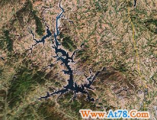 武汉种子交易会开幕 50多个国家和地区参展(组图)