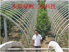 超强全自动无支柱蔬菜大棚支架机,安阳绿洲三农科技 超强全自动无支柱蔬菜大棚支架机,安阳绿洲三农科技