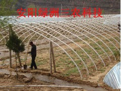 第五代新型无立柱蔬菜大棚骨架机,安阳绿洲三农 第五代新型无立柱蔬菜大棚骨架机,安阳绿洲三农