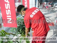 深圳金卫士长期提供灭白蚁服务