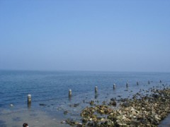 广州物流公司广州到烟台物流运输货运专线