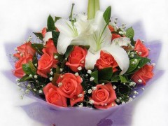 上海莘朱路都市路鲜花店宝成路名都路富都路春申路鲜花配送