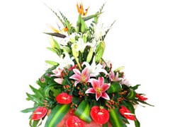 上海中山北路金沙江路花店长寿路武宁南路曹杨路鲜花配送