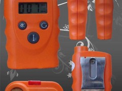 RBBJ-T便携式一氧化碳泄漏报警器 RBBJ-T便携式一氧化碳泄漏报警器