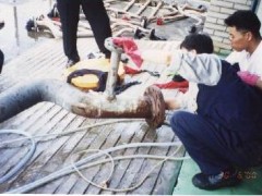 供应不损伤物体表面的除锈剂 供应不损伤物体表面的除锈剂