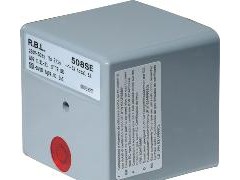 供应利雅路RMG88.62/RBL530程序控制器