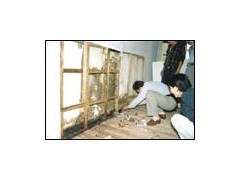 黄江杀虫，黄江白蚁防治，黄江灭鼠，黄江杀四害威锋杀虫公司