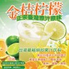 乐滋味台湾金桔柠檬汁招商加盟