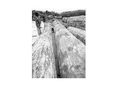 中山港原木进口清关代理