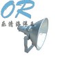 NTC9200/1000W海洋王防震型超强投光灯