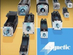 供应意大利Magnetic电机 供应意大利Magnetic电机