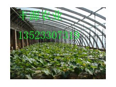 第五代蔬菜大棚支架机，安阳丰源农业