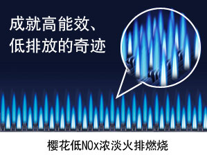樱花低NOx燃气热水器