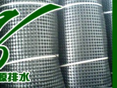 供应无锡塑料排水板无纺布徐州聚乙烯土工膜