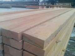 供应巴新银口树 供应巴新银口树