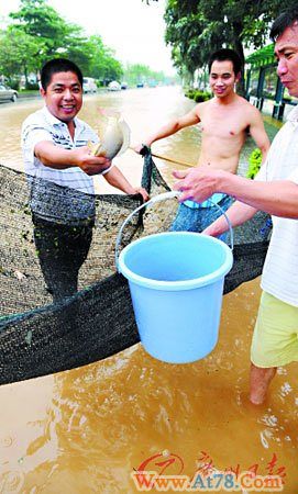 暴雨袭击南方五省 致86人遇难或失踪(图)
