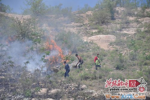 石家庄莲花山发生火灾疑游客吸烟引起(图)