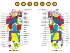 步多健能量走毯|百步康健康能量毯