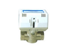 加拿大威廉姆森阀门