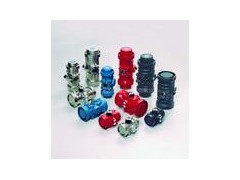 法国沃尔普(VALPES)电动执行机构