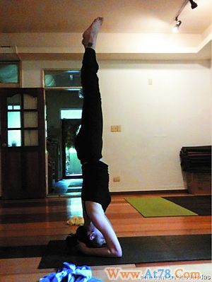 明星微博晒爱好大S当瑜伽大王郑裕玲爱粘水晶