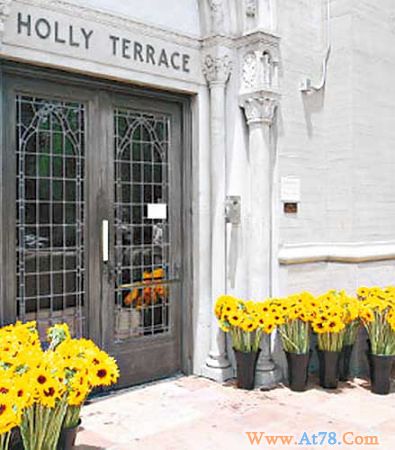 杰克逊墓园变花海一花农捐2千枝向日葵(图)