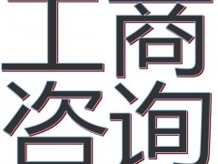 商务咨询网:提供上海工商注册信息咨询,特办一般纳税人 商务咨询网:提供上海工商注册信息咨询,特办一般纳税人