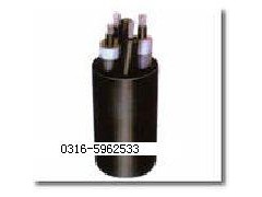 JHS防水橡套电缆