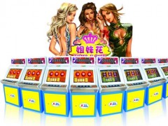 供应海威科技大型连线游戏机姐妹花 供应海威科技大型连线游戏机姐妹花