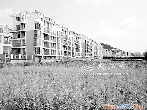 江西余江县数百亩良田被征建商铺别墅(组图)