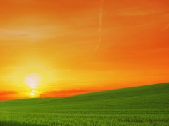 石家庄防水公司 石家庄防水公司