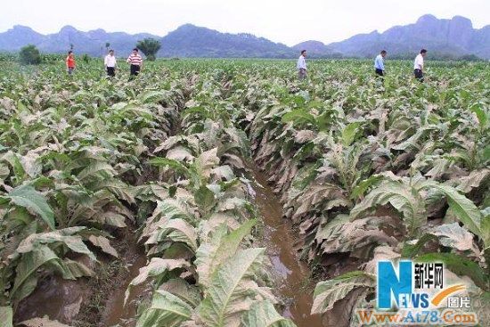 江西今年降雨创历史新高近500万人受灾(组图)