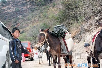 云南宁蒗山火遇难者家属将获22.5万元优抚金