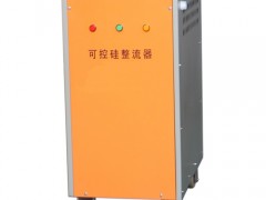 可控硅整流电源,风冷可控硅整流器 可控硅整流电源,风冷可控硅整流器